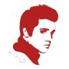 Elvis, The King, Cotton,14count 150x1...