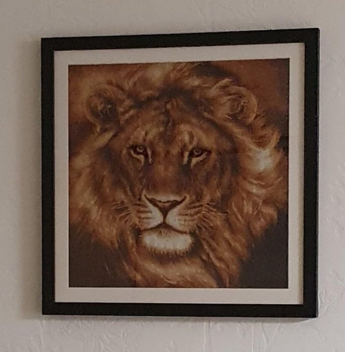 lion cross stitch kits advanced